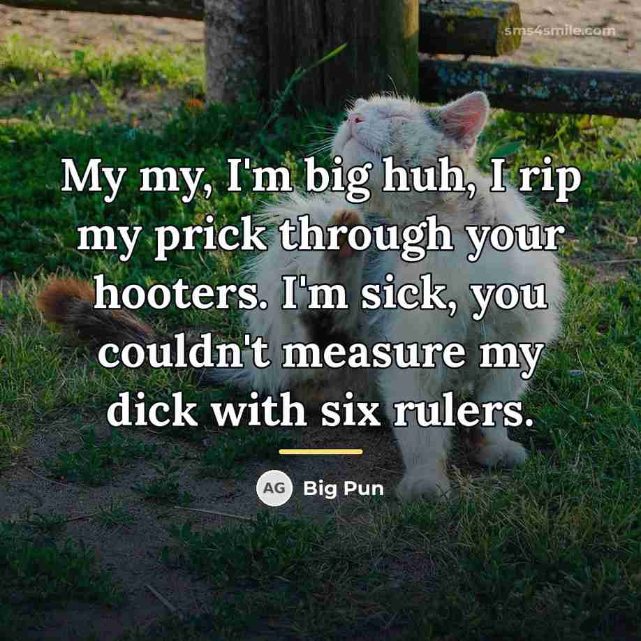 “My my, I'm big huh, I rip my prick through…” quote by Big Pun