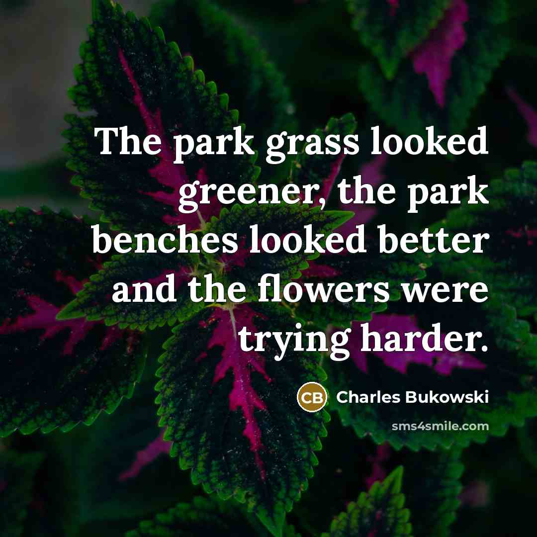 “The park grass looked greener, the park benches looked better…” quote by Charles Bukowski