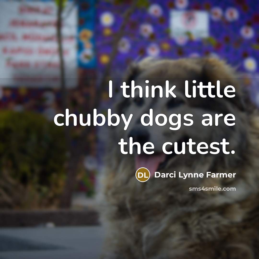 “I think little chubby dogs are the cutest.…” quote by Darci Lynne Farmer