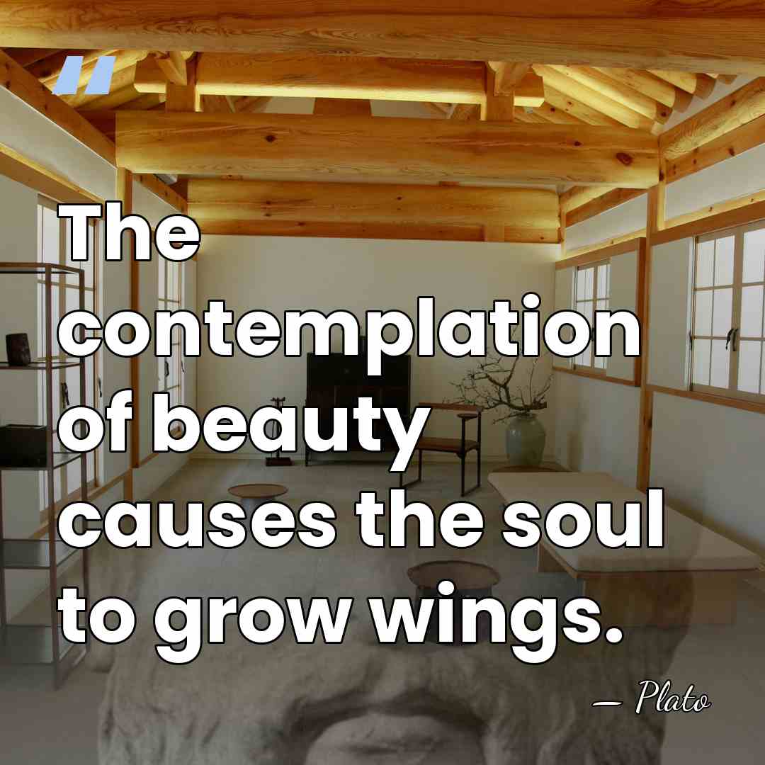 The contemplation of beauty causes the soul to grow wings. - Plato