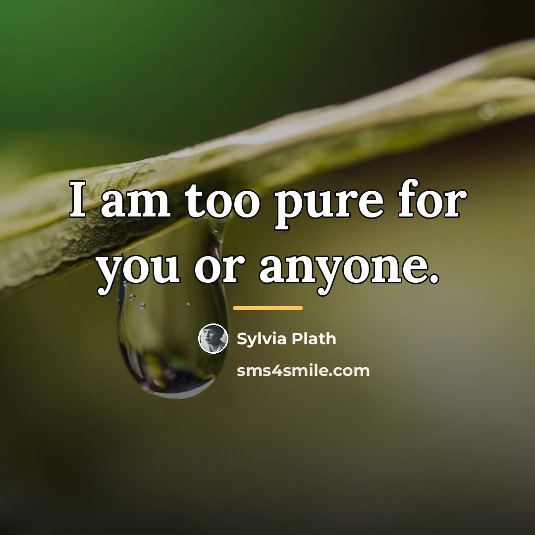 “I am too pure for you or anyone.…” quote by Sylvia Plath