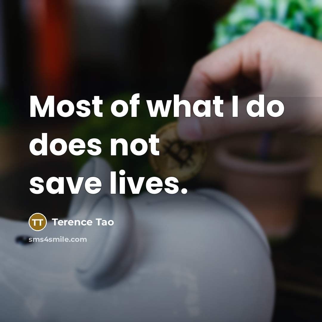 “Most of what I do does not save lives.…” quote by Terence Tao