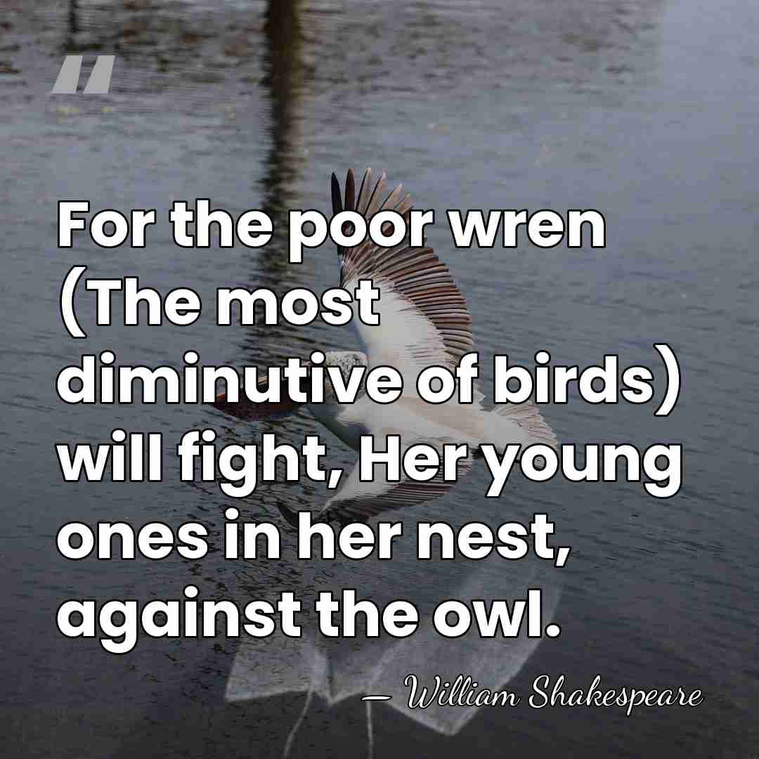 For the poor wren (The most diminutive of birds) will fight, Her&hellip; - William Shakespeare