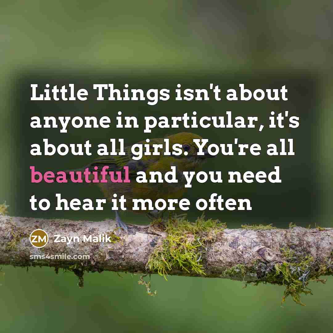 “Little Things isn't about anyone in particular, it's about all…” quote by Zayn Malik