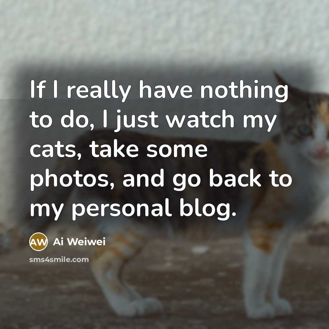 “If I really have nothing to do, I just watch…” quote by Ai Weiwei