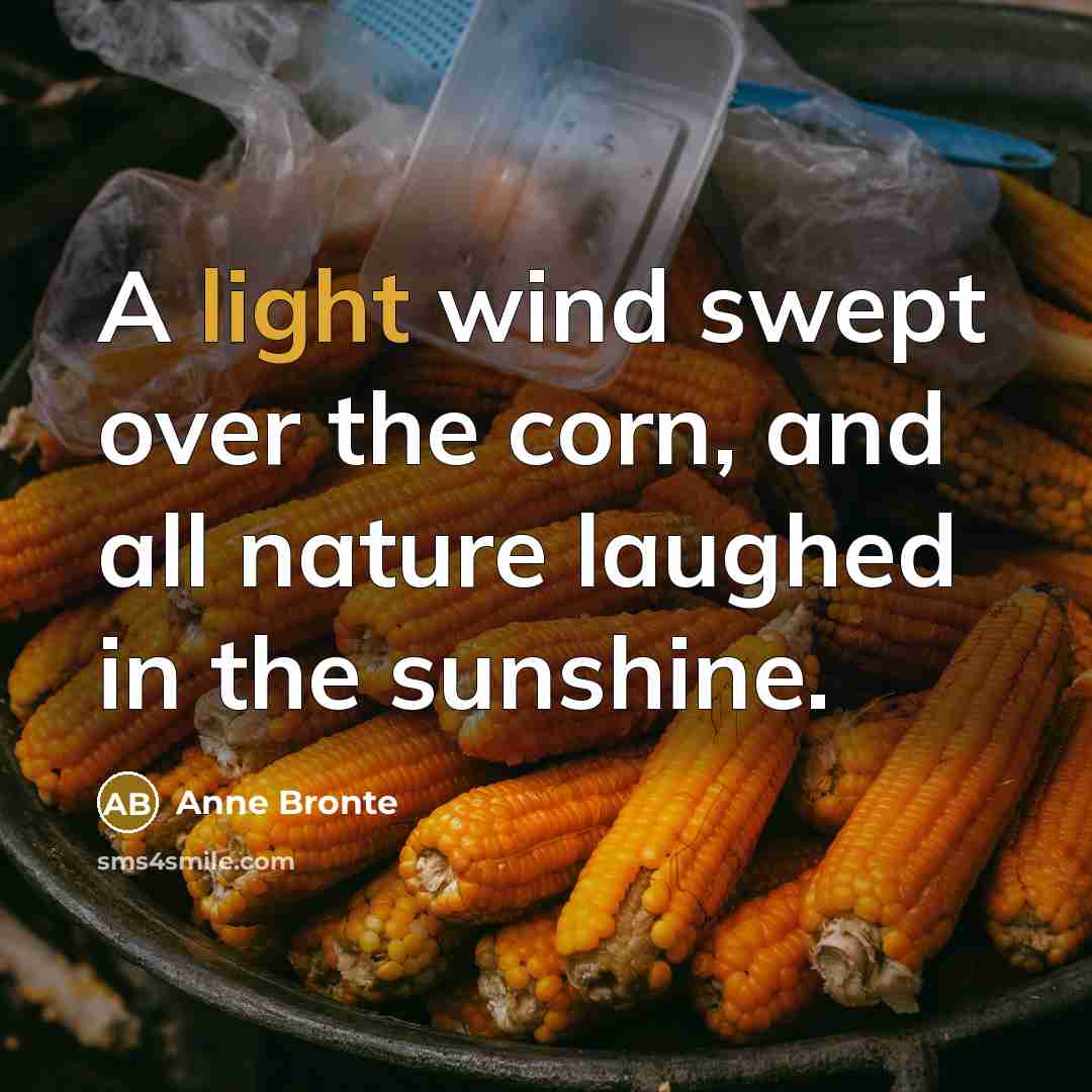 “A light wind swept over the corn, and all nature…” quote by Anne Bronte