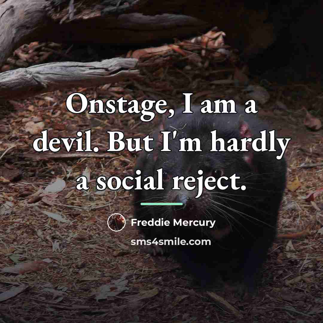 “Onstage, I am a devil. But I'm hardly a social…” quote by Freddie Mercury