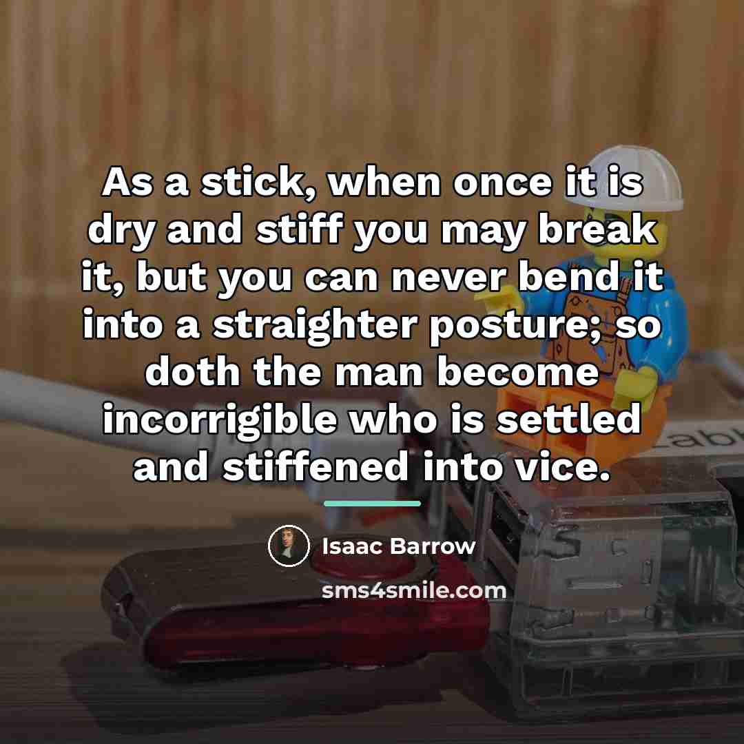“As a stick, when once it is dry and stiff…” quote by Isaac Barrow