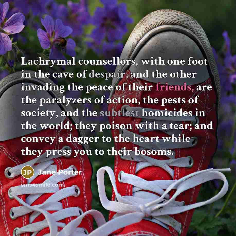 “Lachrymal counsellors, with one foot in the cave of despair,…” quote by Jane Porter