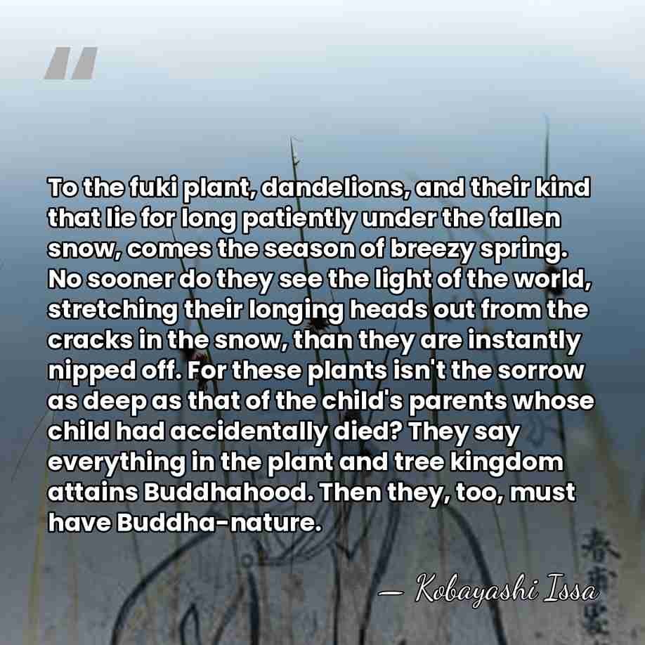 To the fuki plant, dandelions, and their kind that lie for long&hellip; - Kobayashi Issa