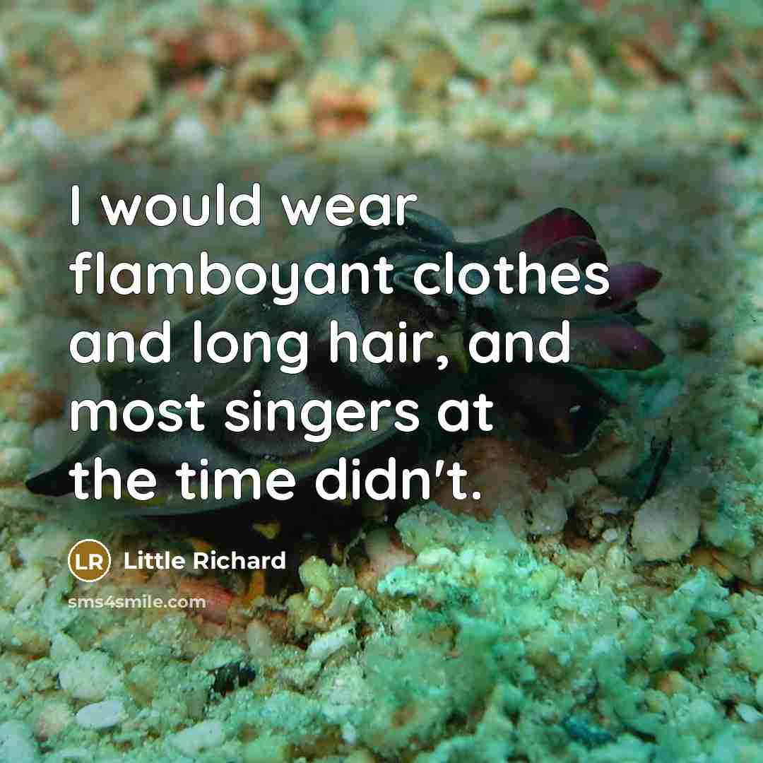 “I would wear flamboyant clothes and long hair, and most…” quote by Little Richard
