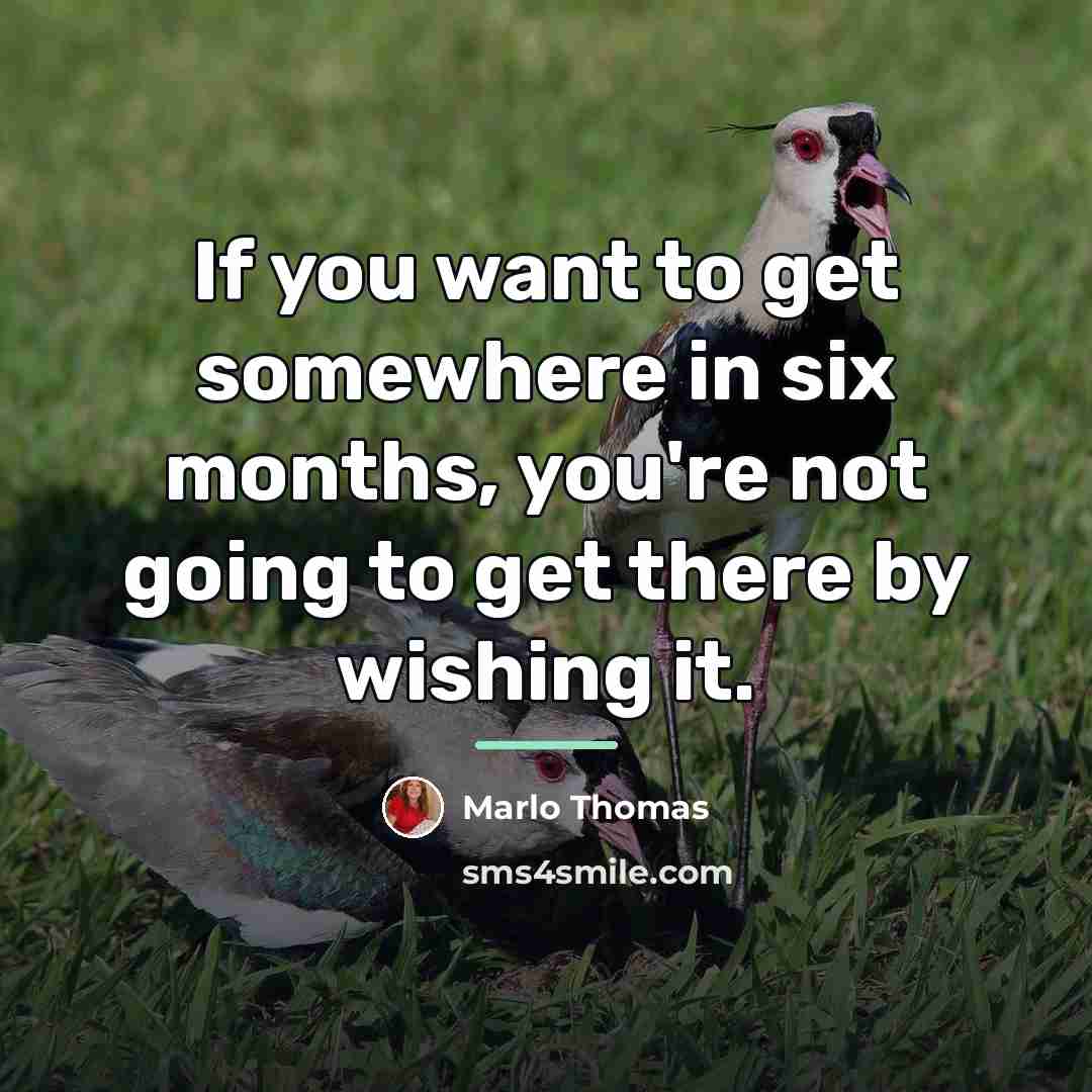 “If you want to get somewhere in six months, you're…” quote by Marlo Thomas