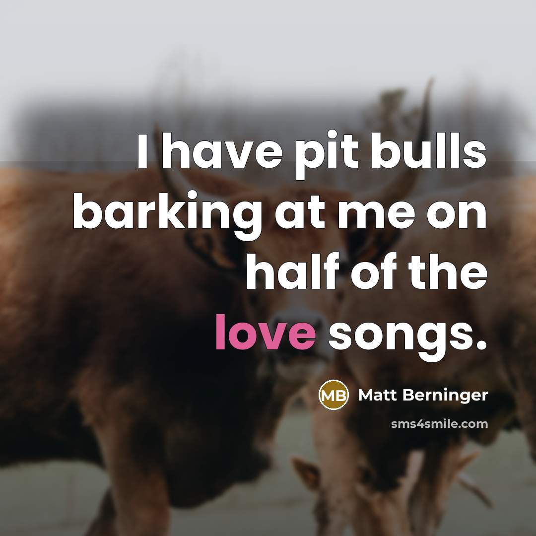 “I have pit bulls barking at me on half of…” quote by Matt Berninger