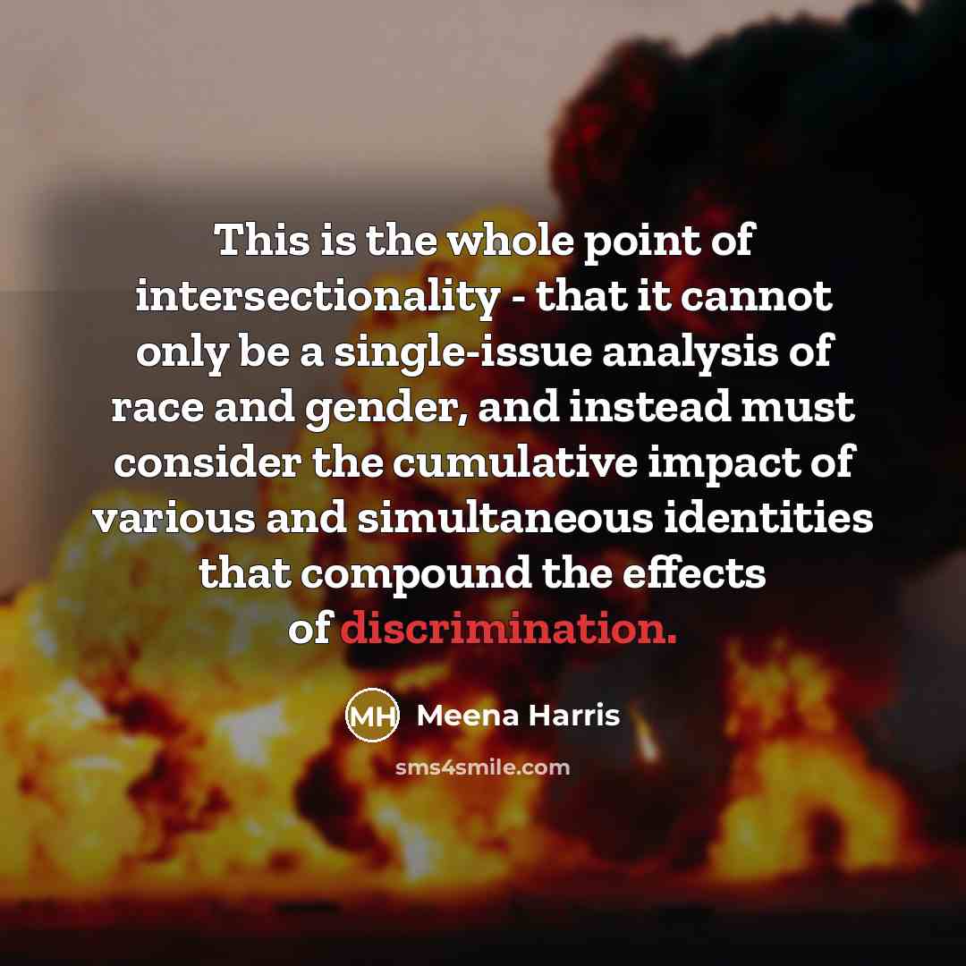 “This is the whole point of intersectionality - that it…” quote by Meena Harris