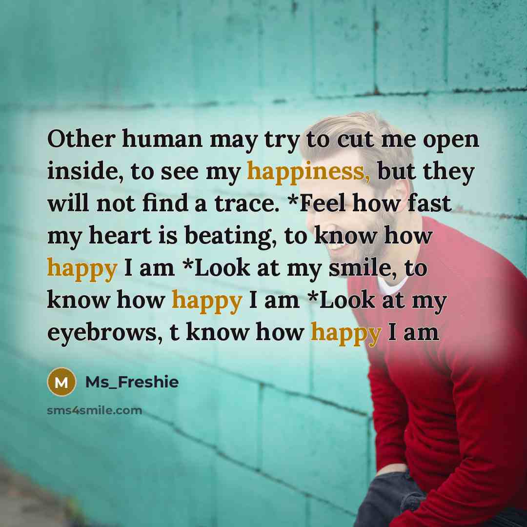 “Other human may try to cut me open inside, to see my happiness, but they will not find a trace. *Feel how fast my heart is beating, to know how happy I am *Look at my smile, to know how happy I am *Look at my eyebrows, t know how happy I am” quote by Ms_Freshie