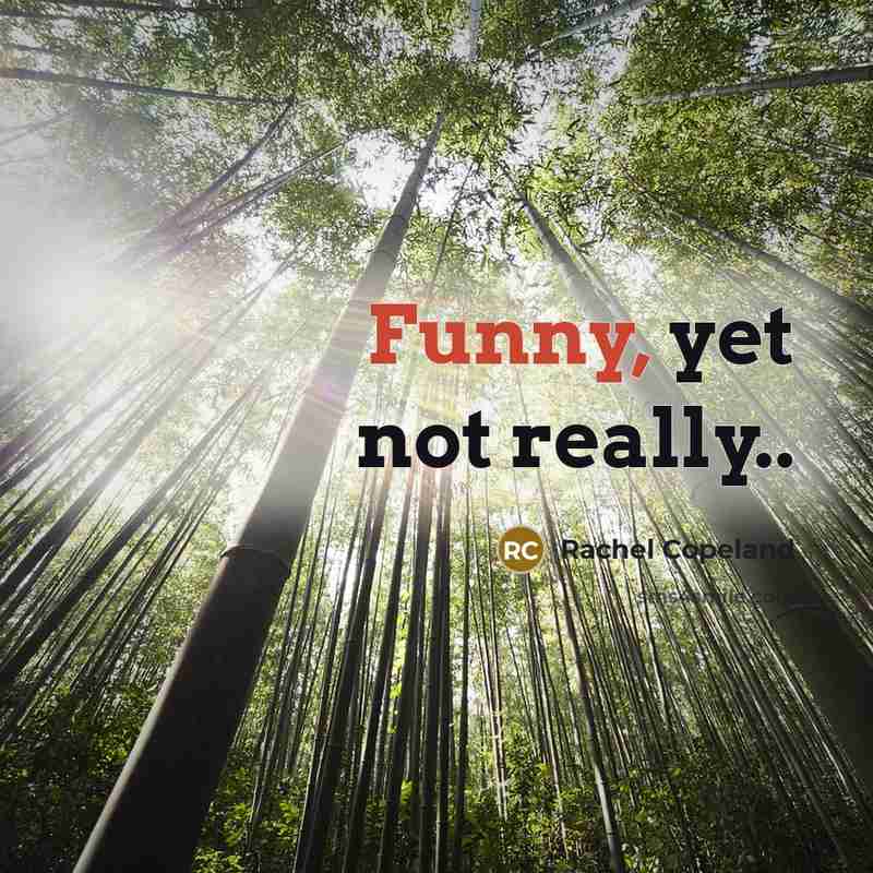 “Funny, yet not really..…” quote by Rachel Copeland