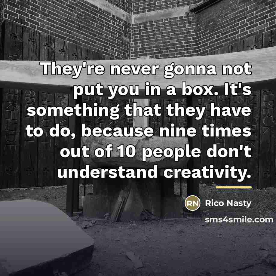 “They're never gonna not put you in a box. It's…” quote by Rico Nasty