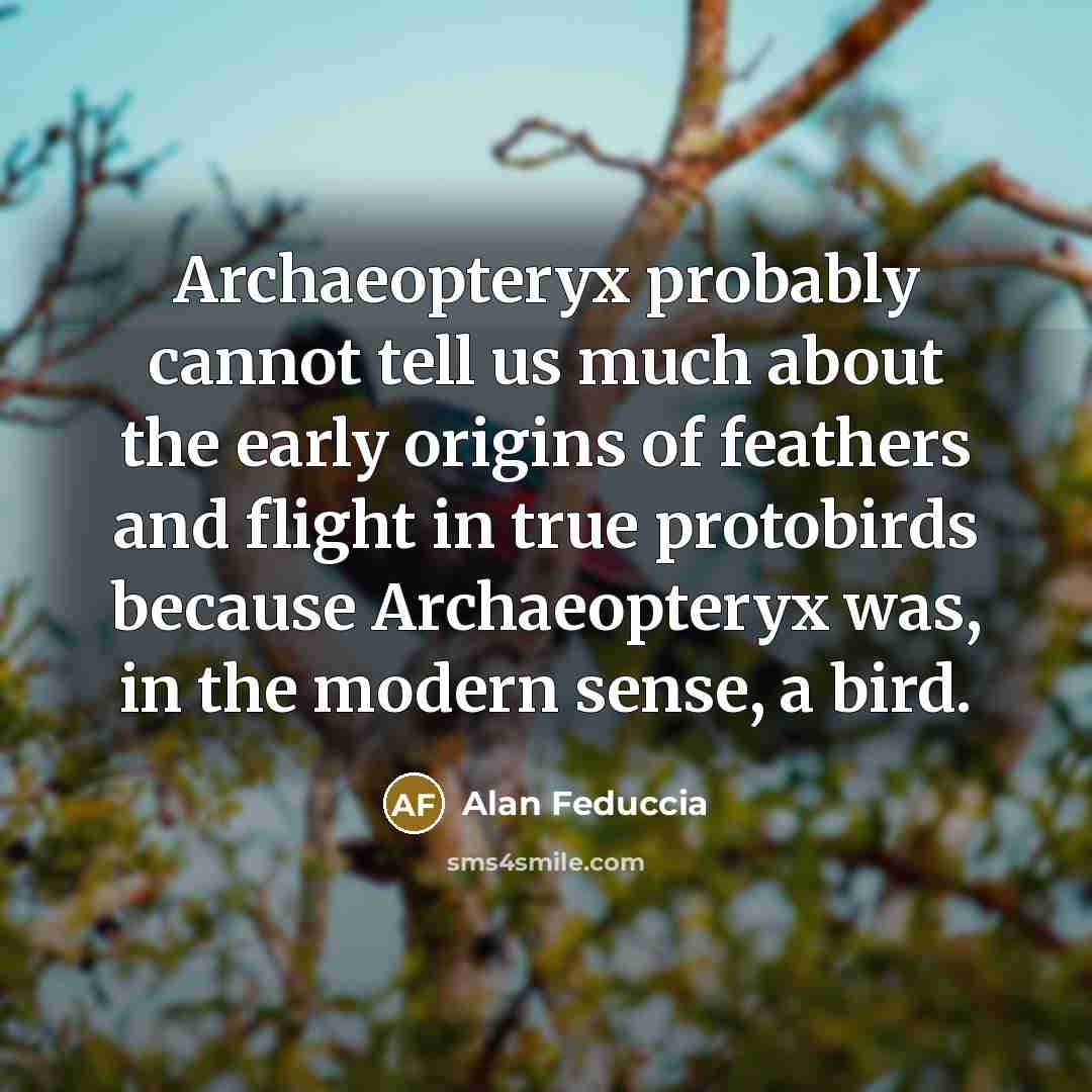 “Archaeopteryx probably cannot tell us much about the early origins…” quote by Alan Feduccia