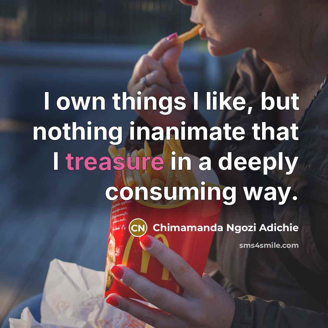 “I own things I like, but nothing inanimate that I…” quote by Chimamanda Ngozi Adichie