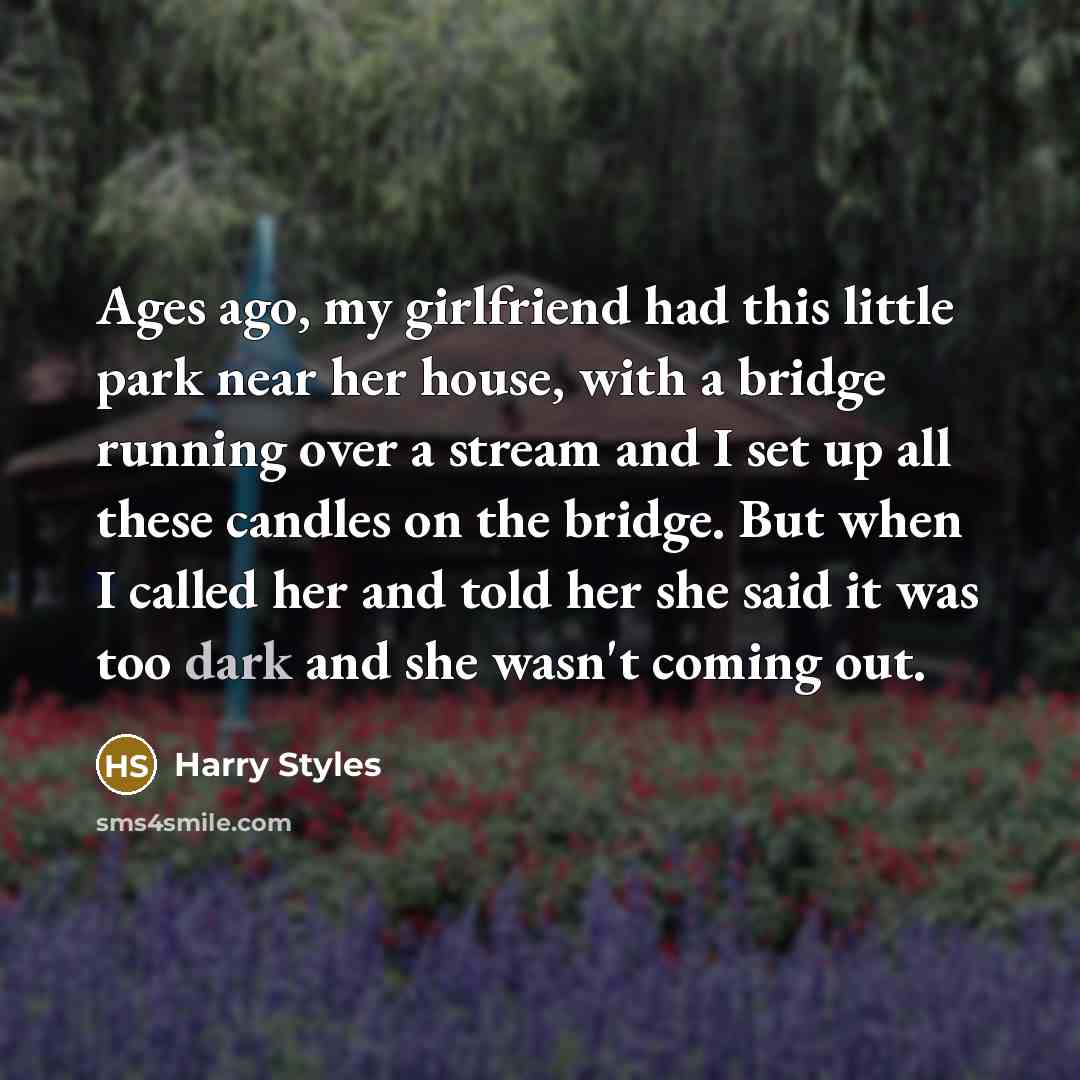 “Ages ago, my girlfriend had this little park near her…” quote by Harry Styles