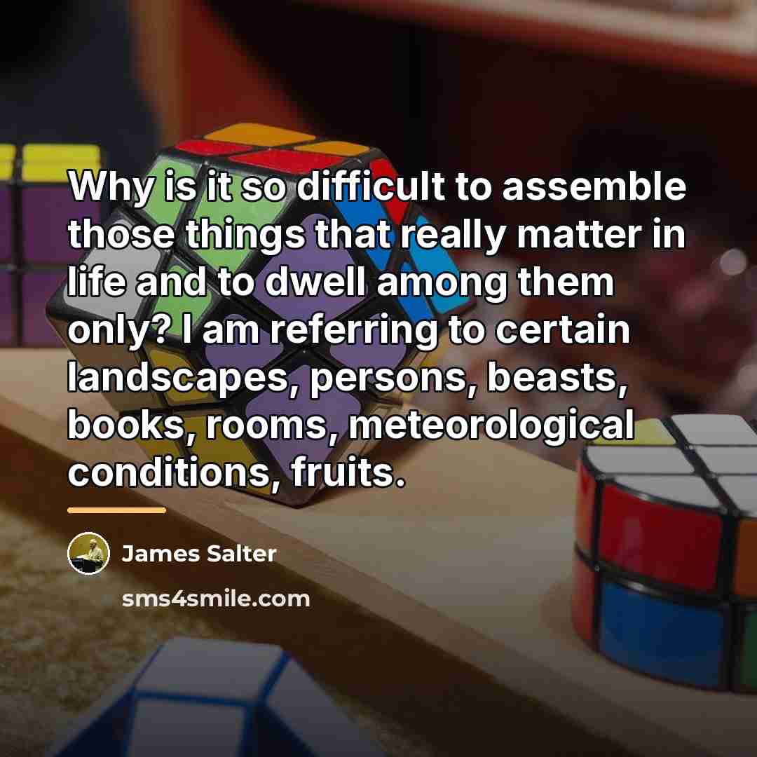 “Why is it so difficult to assemble those things that…” quote by James Salter