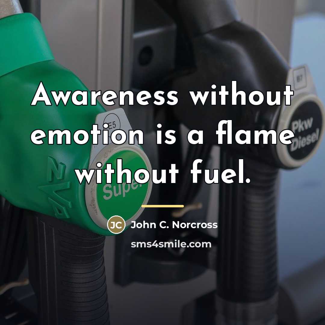 “Awareness without emotion is a flame without fuel.…” quote by John C. Norcross