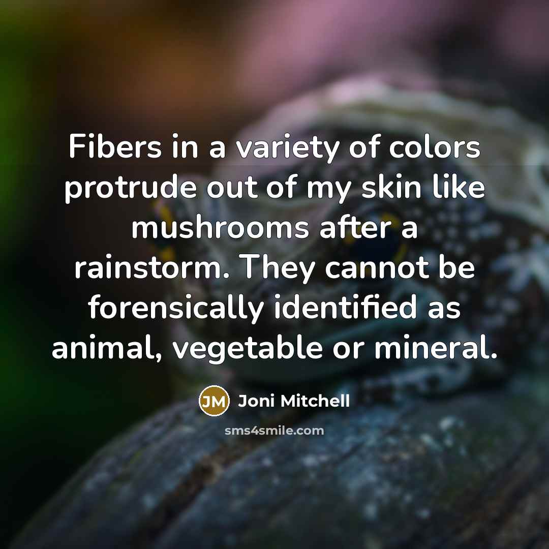 “Fibers in a variety of colors protrude out of my…” quote by Joni Mitchell