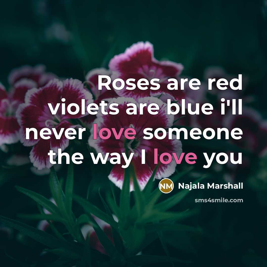 “Roses are red violets are blue i'll never love someone…” quote by Najala Marshall