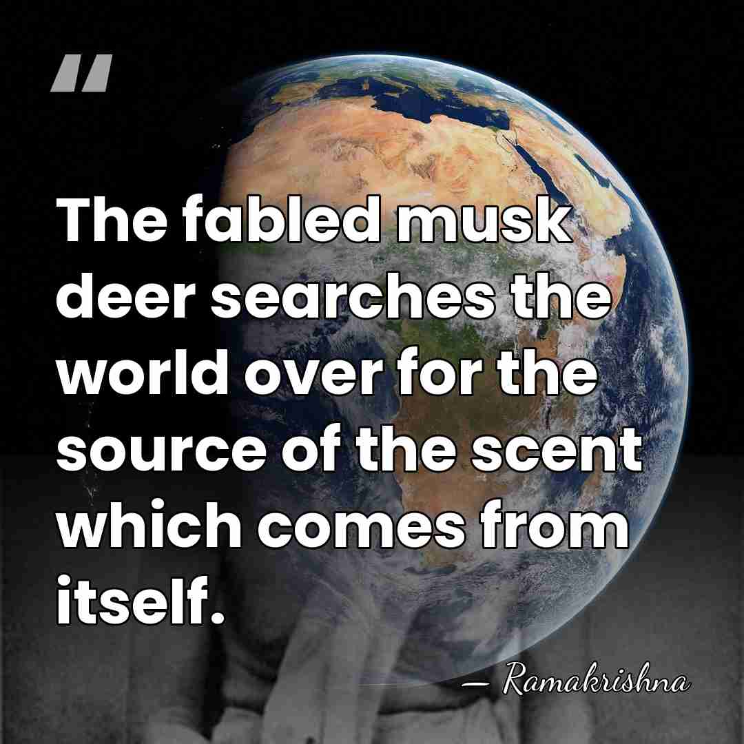 The fabled musk deer searches the world over for the source of&hellip; - Ramakrishna