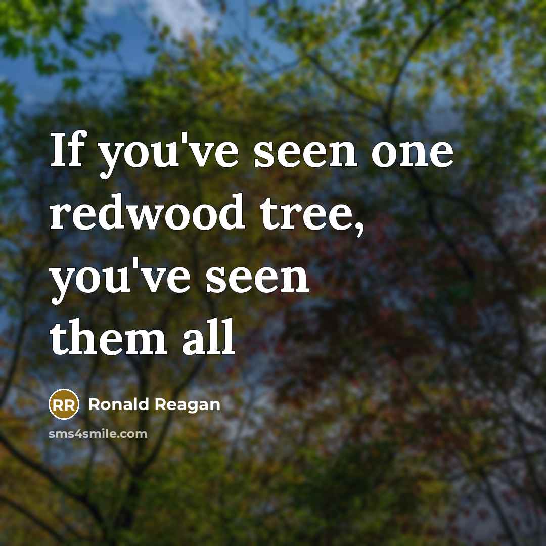 “If you've seen one redwood tree, you've seen them all…” quote by Ronald Reagan