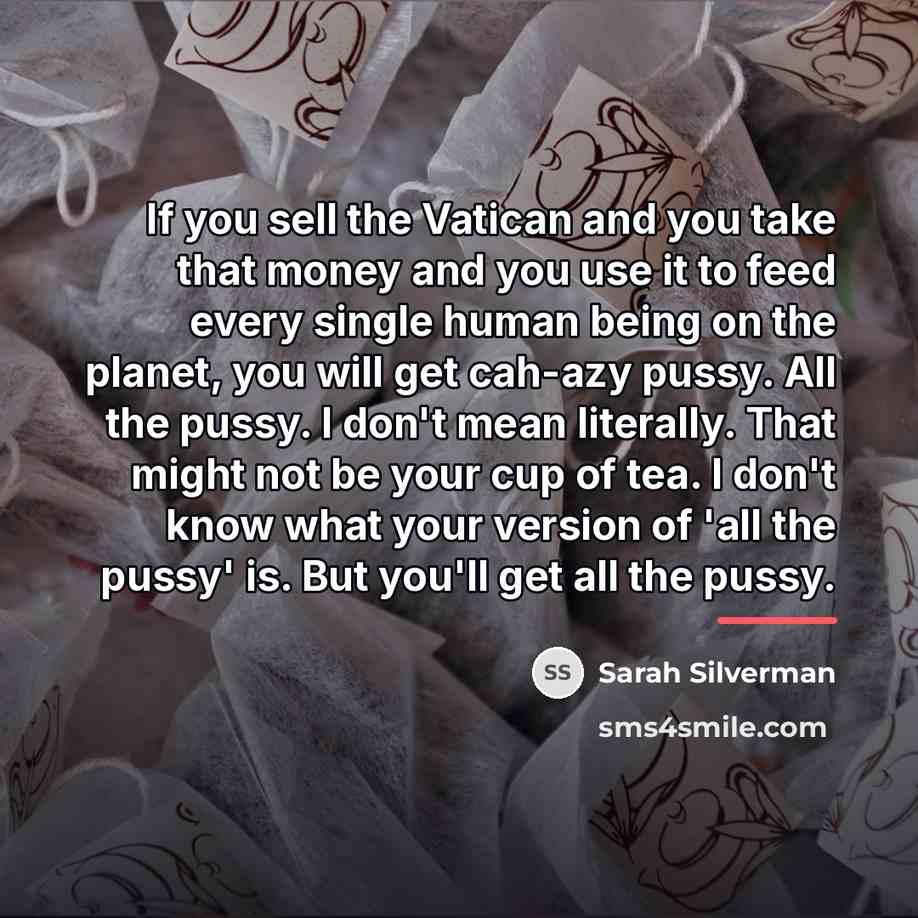 “If you sell the Vatican and you take that money…” quote by Sarah Silverman