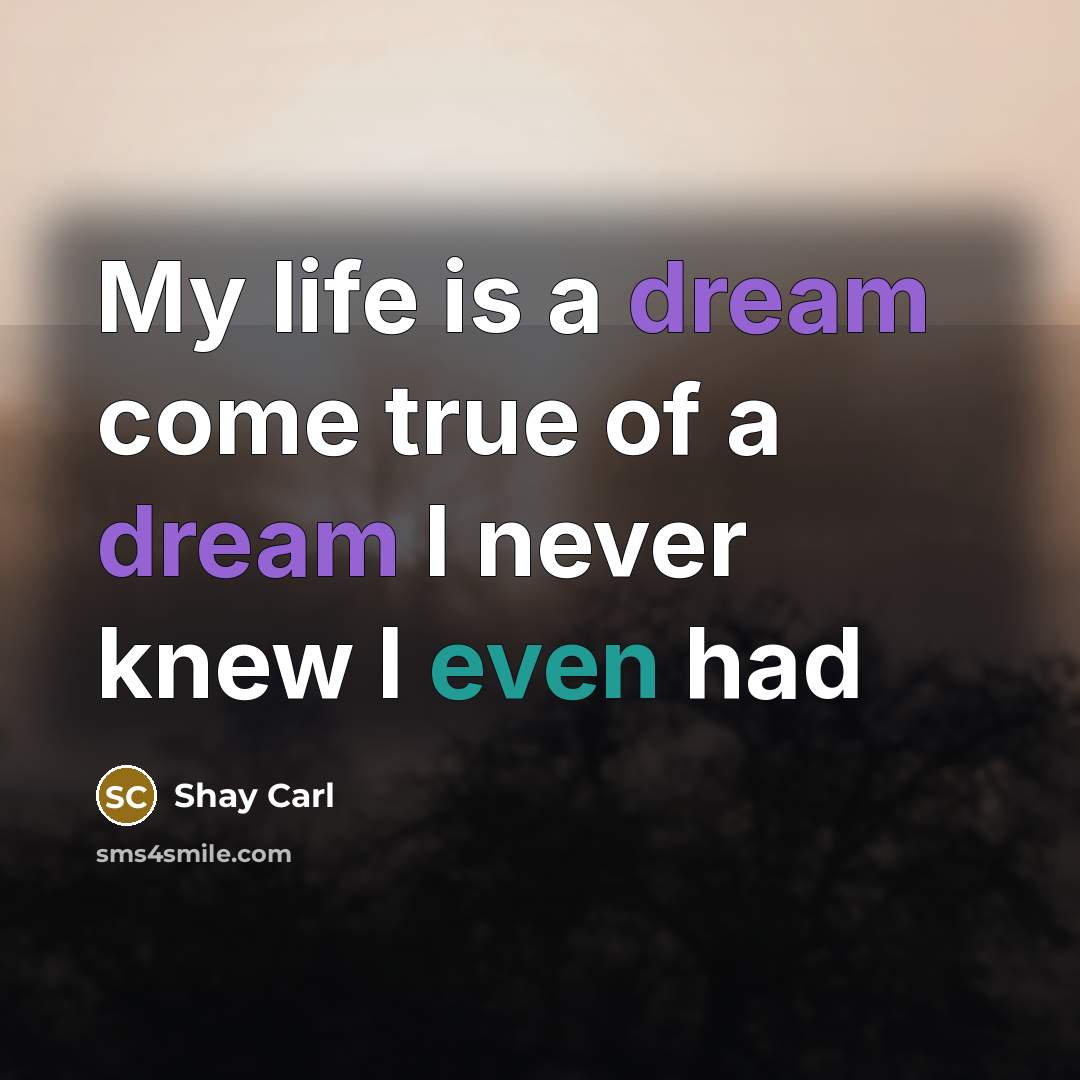 “My life is a dream come true of a dream…” quote by Shay Carl