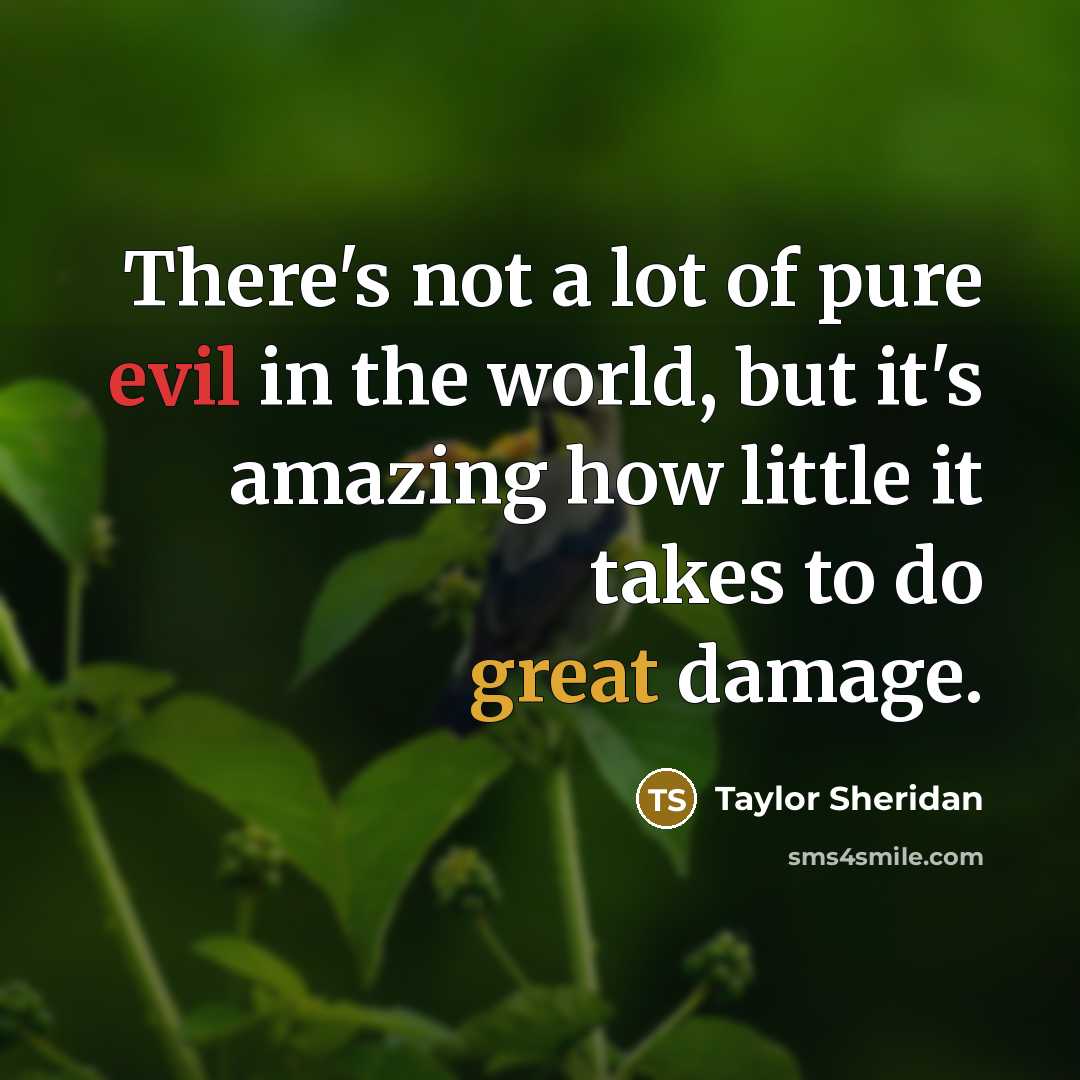 “There's not a lot of pure evil in the world,…” quote by Taylor Sheridan