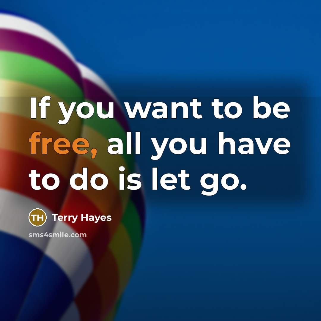 “If you want to be free, all you have to do is let go.” quote by Terry Hayes