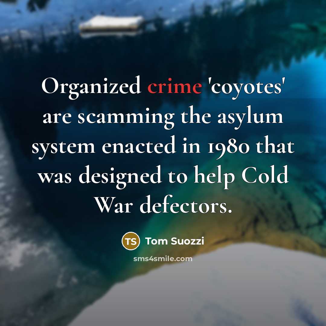 “Organized crime 'coyotes' are scamming the asylum system enacted in…” quote by Tom Suozzi