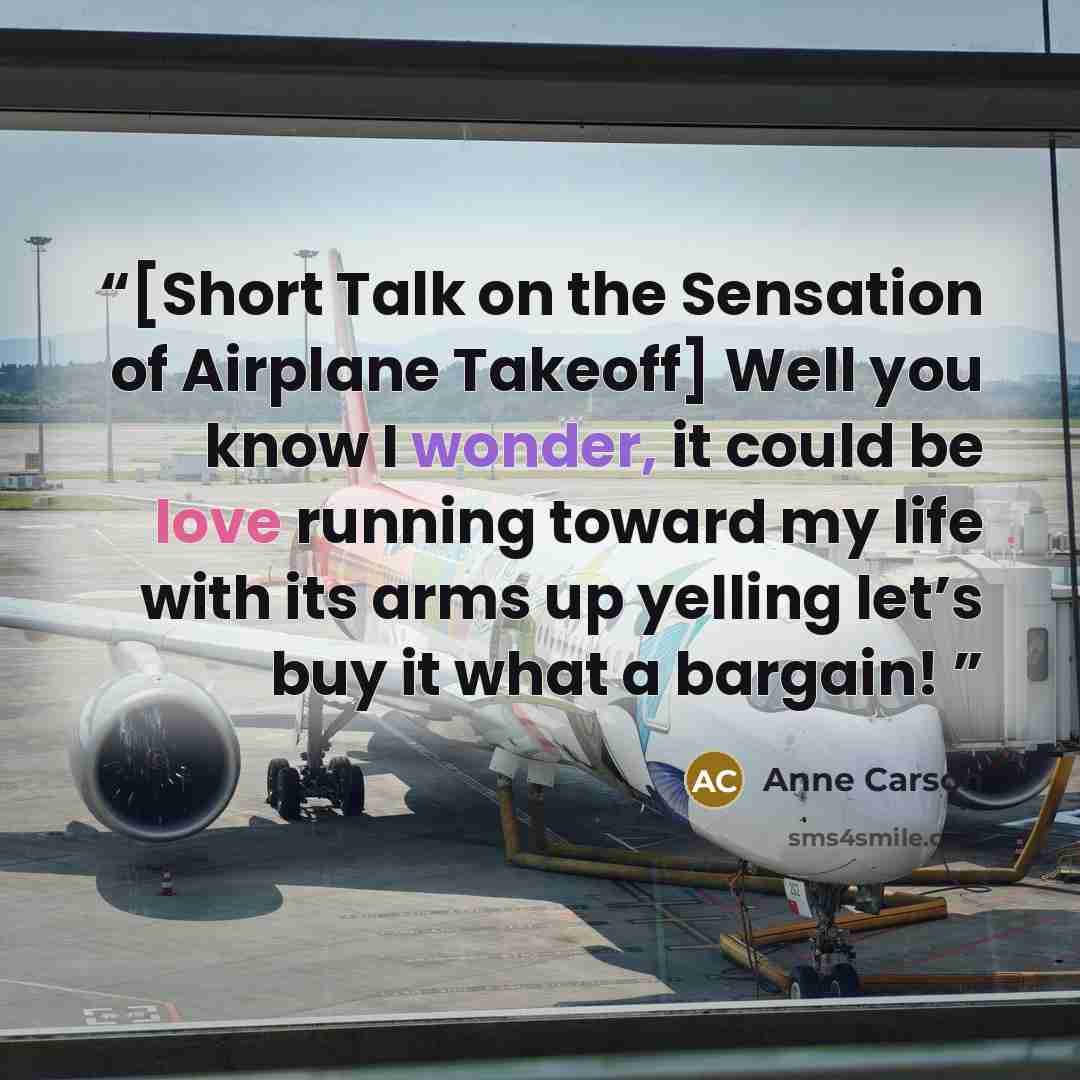 “[Short Talk on the Sensation of Airplane Takeoff] Well you know I wonder, it could be love running toward my life with its arms up yelling let’s buy it what a bargain!” quote by Anne Carson