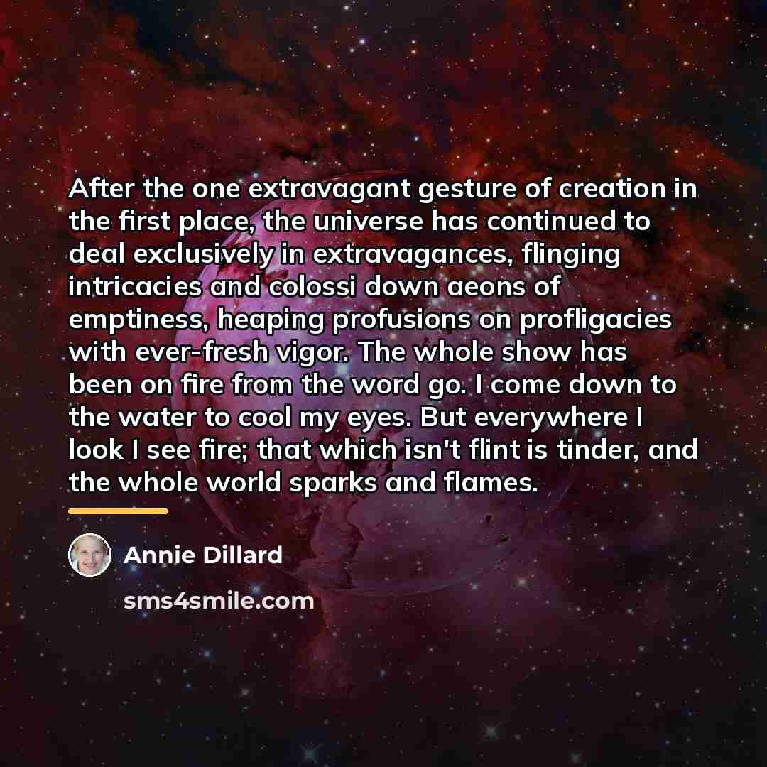 “After the one extravagant gesture of creation in the first…” quote by Annie Dillard
