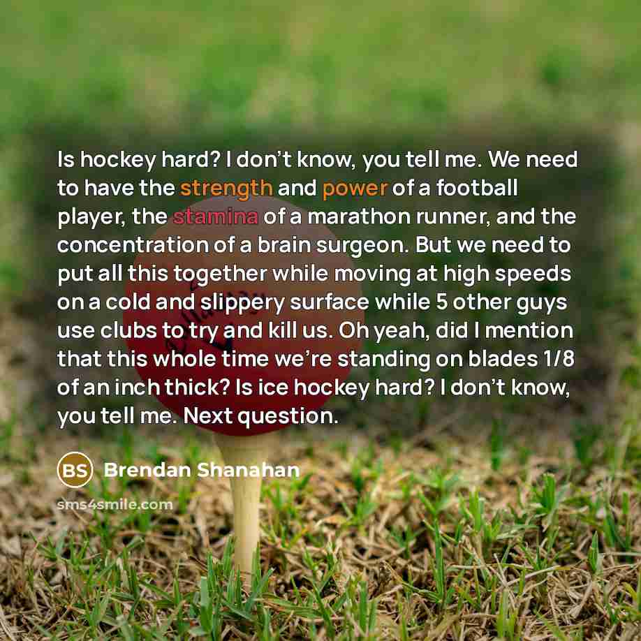 “Is hockey hard? I don't know, you tell me. We…” quote by Brendan Shanahan