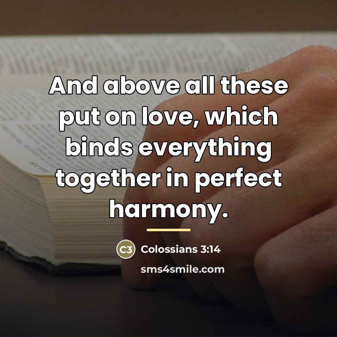 “And above all these put on love, which binds everything…” quote by Colossians 3:14