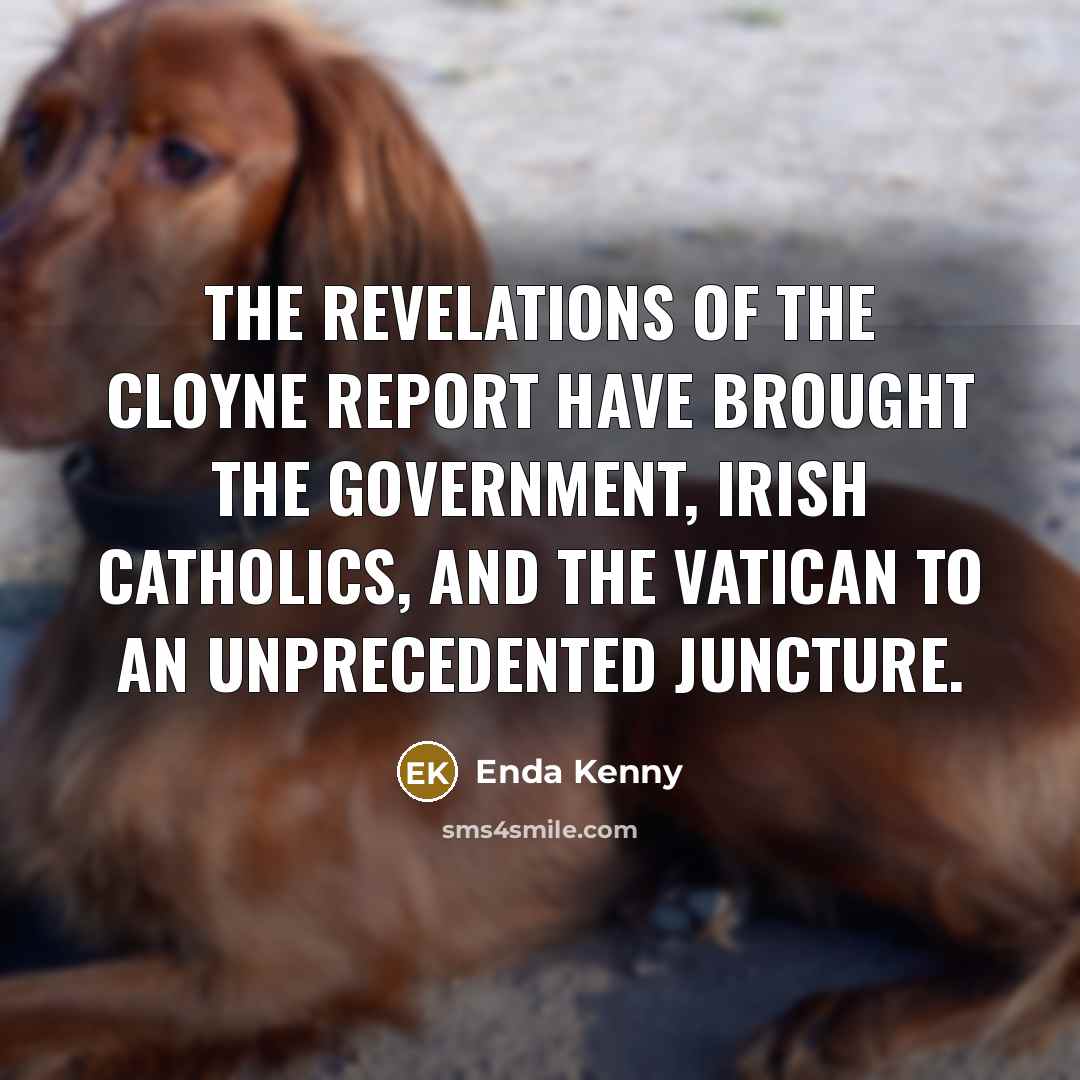 “The revelations of the Cloyne report have brought the government,…” quote by Enda Kenny