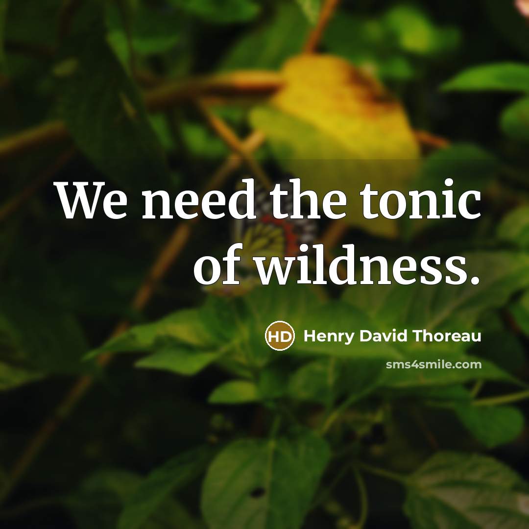 “We need the tonic of wildness.…” quote by Henry David Thoreau