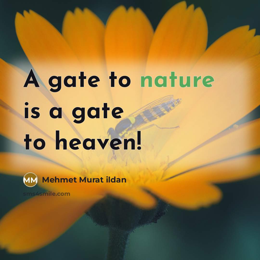 “A gate to nature is a gate to heaven!…” quote by Mehmet Murat Ildan