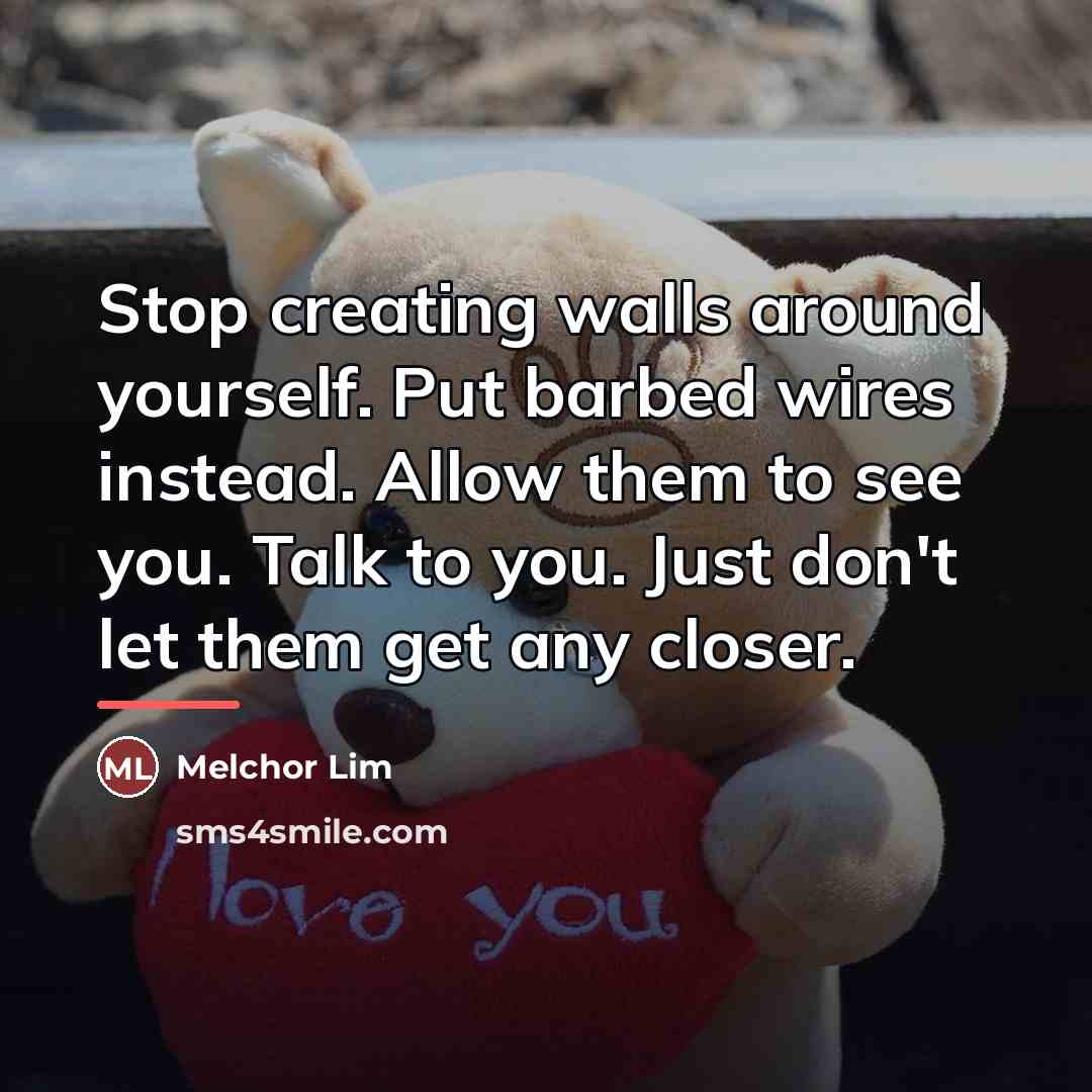 “Stop creating walls around yourself. Put barbed wires instead. Allow…” quote by Melchor Lim