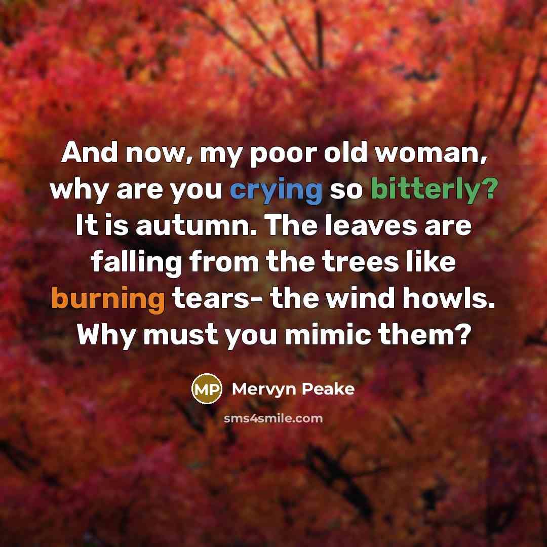 “And now, my poor old woman, why are you crying…” quote by Mervyn Peake