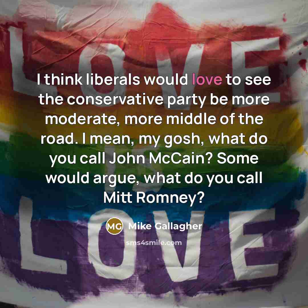 “I think liberals would love to see the conservative party…” quote by Mike Gallagher