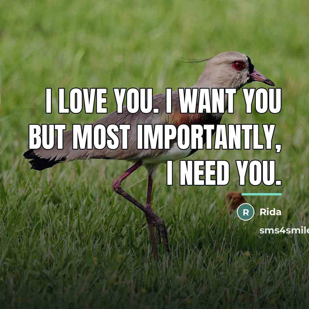“I love you. I want you but most importantly, I…” quote by Rida