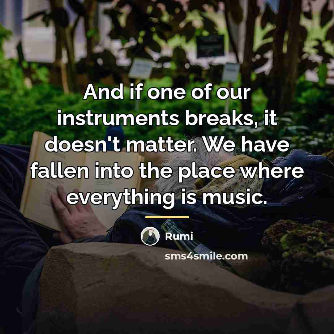 “And if one of our instruments breaks, it doesn't matter.…” quote by Rumi