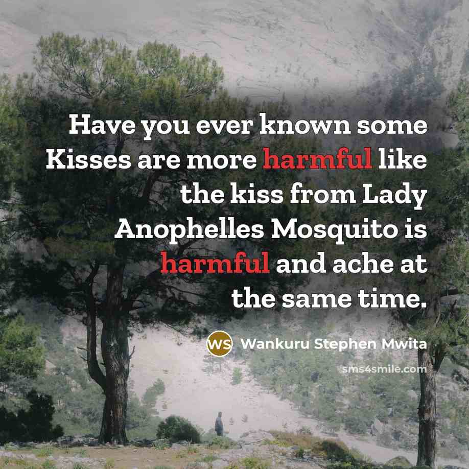 “Have you ever known some Kisses are more harmful like the kiss from Lady Anophelles Mosquito is harmful and ache at the same time.” quote by Wankuru Stephen Mwita