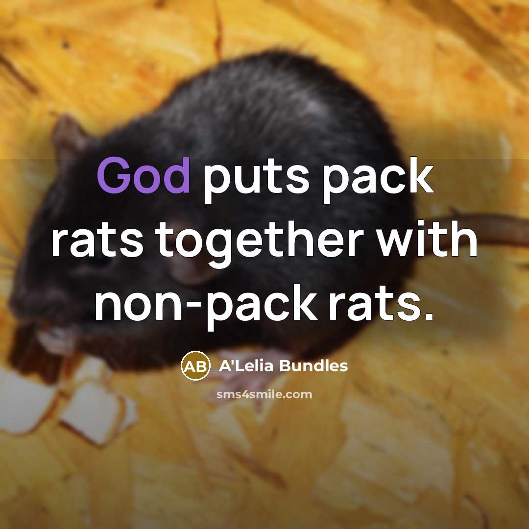 “God puts pack rats together with non-pack rats.…” quote by A'Lelia Bundles