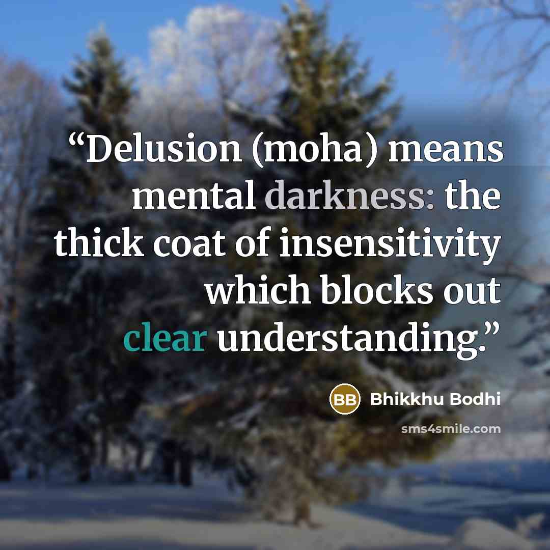 “Delusion (moha) means mental darkness: the thick coat of insensitivity which blocks out clear understanding.” quote by Bhikkhu Bodhi